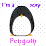 Sexy Penguin