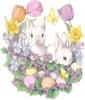 Bunny n Eggs