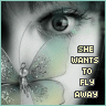 fly away