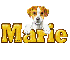 Puppy: Marie