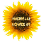 Michelle sun flower