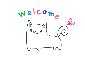 KITTY WELCOME