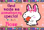 Rose- God made you special
