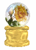 Yellow Rose globe