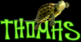 Thomas Turtle