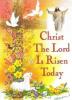 Our Risen Lord
