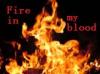 Fire In My Blood