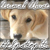 Help Stop Animal Abuse
