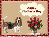 Basset with Mother's Day wishes