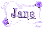 purple roses jane