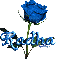 blue rose radha