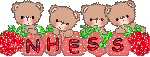 Strawberry Bears- Nhess
