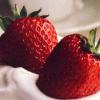 strawberrys in  cream