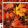 autumn love 