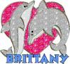 Brittany & Dolphin