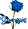 blue rose georgie