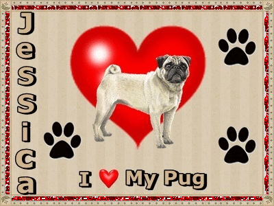 I luv my pug Jessica