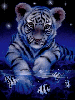 blue Tiger