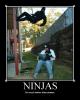 Ninjas Much Better Than Pirates.