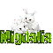 White Rabbits: Migdalia