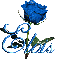 blue rose elvis