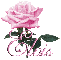 pink rose elvis