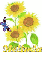 melinda sun flower