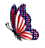 4TH OF JULY BUTTERFLY
