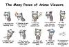 The Many Poses of Anime Viewers