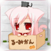 Girl cat in box