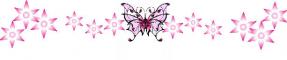 Pink Butterfly Divider