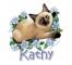 siamese kitty with name Kathy