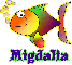 Migdalia Rainbow Fish