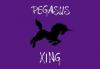Pegasus Xing