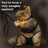 Naughty Squirrel