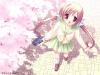 girl walking thru cherry blossoms