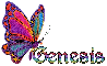genesis butterfly