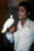 MJ with Dove