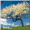 natural love ..