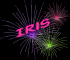 Fireworks - Iris