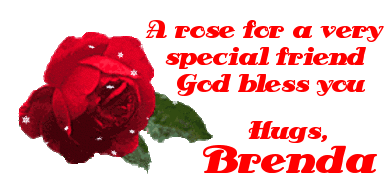 rose for friend Brenda