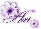 Purple Flower - Ari