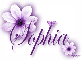 Purple FLower - Sophia