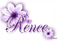 Purple FLower - Renee