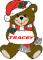 Christmas Teddy Bear - Tracey