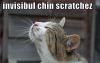 Invisible chin scratch.
