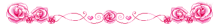 Flower Rose 