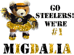 Steelers Cheer Bear~Migdalia