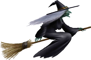 WITCH ON A BROOM