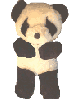 panda teddy